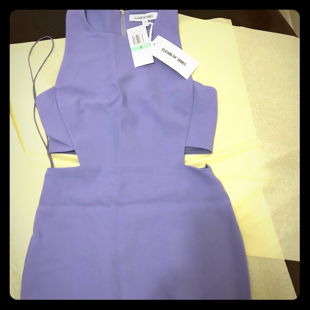 Elizabeth and James Purple Lilac Dress